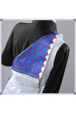 2XXT Cosplay Vtuber Hoshirube Sho Cosplay Costume